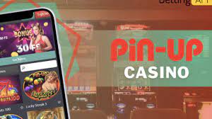  Pin Up Companions Gaming & Betting Associate Program Evaluation 